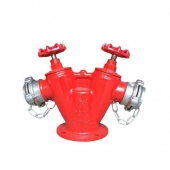 Đầu trụ chữa cháy 2 cửa ra D65